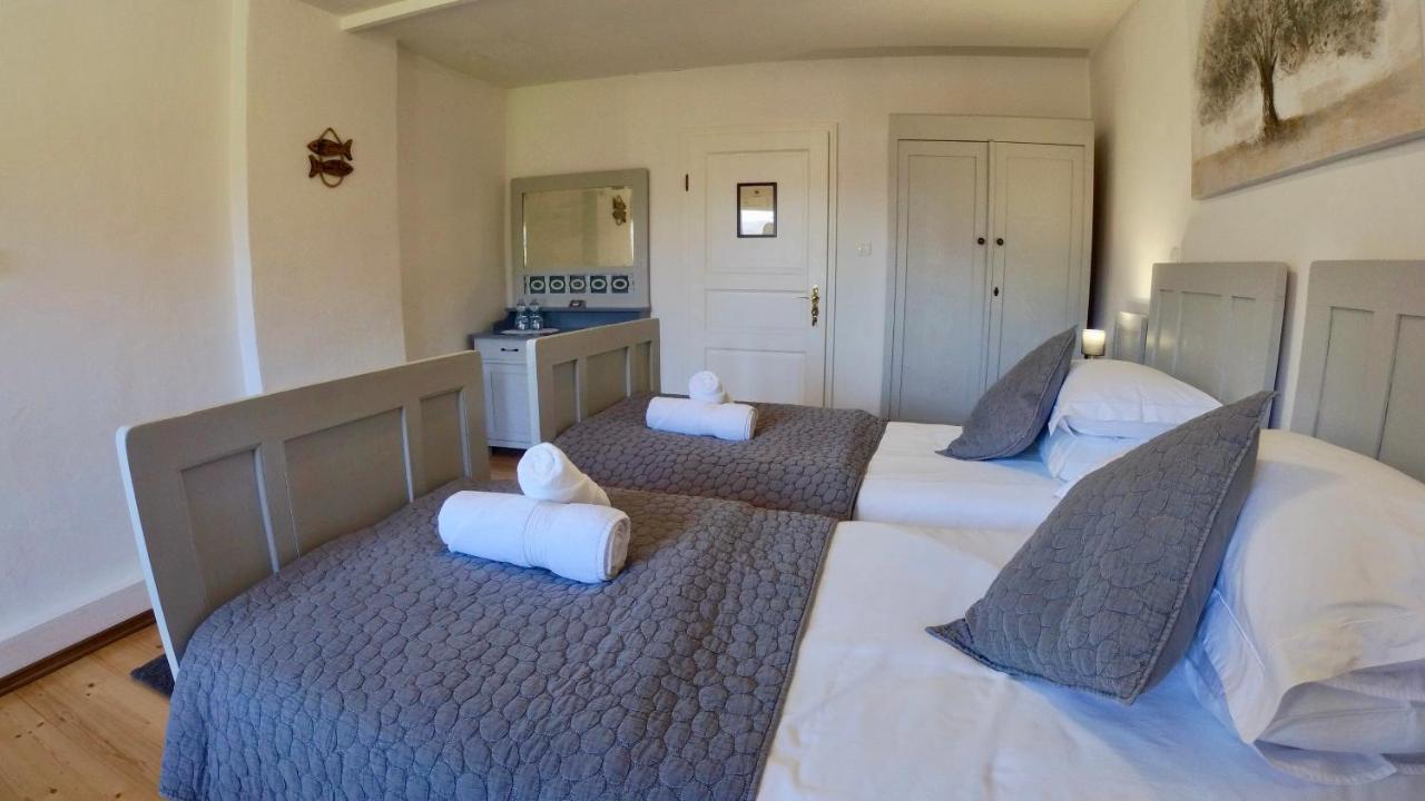 Hisa Brdo Guesthouse تولمين المظهر الخارجي الصورة