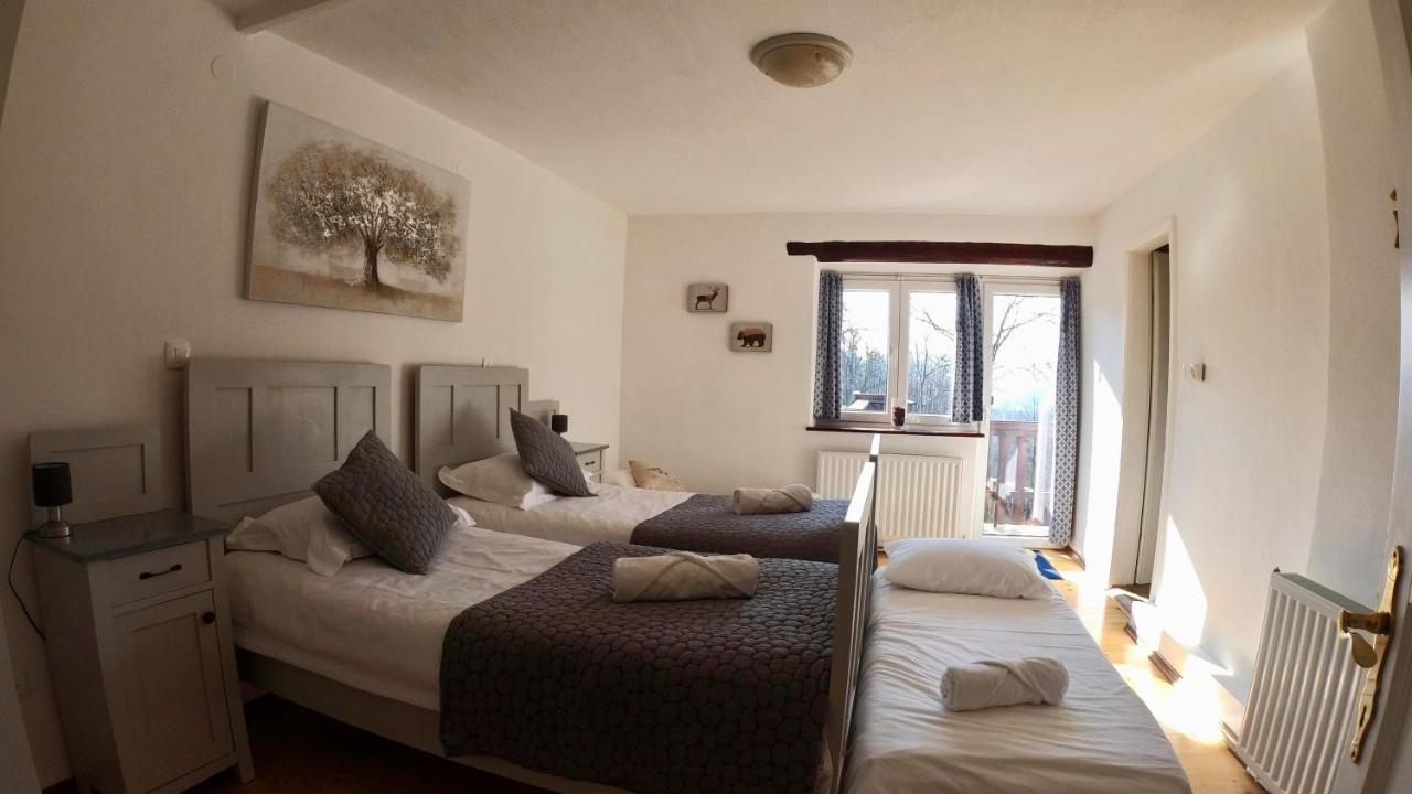 Hisa Brdo Guesthouse تولمين المظهر الخارجي الصورة